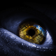 Illustration for article titled Shooting Challenge Eye Gallery 1